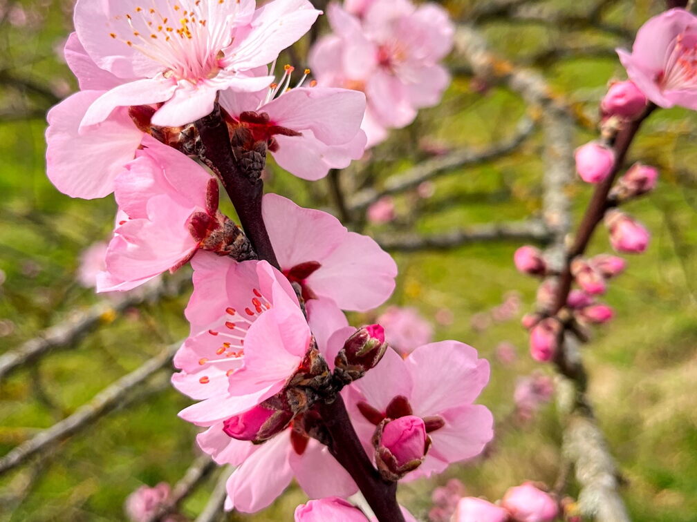 23-03-13 10-53-52 4831